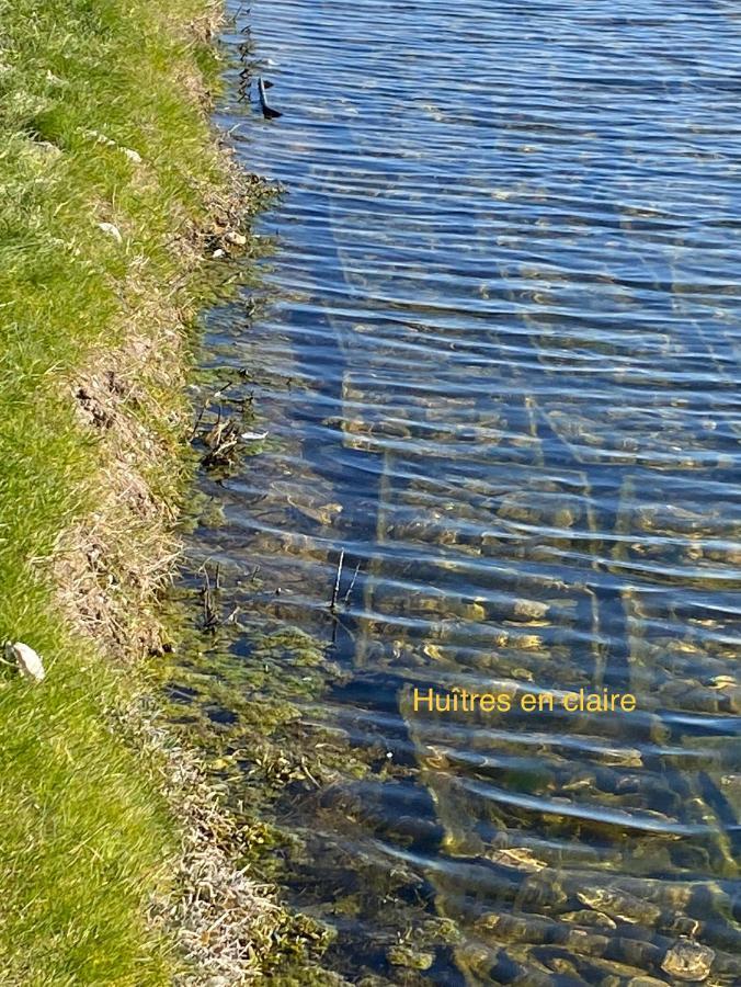 Entre Plage Et Marais Villa Bourcefranc ภายนอก รูปภาพ