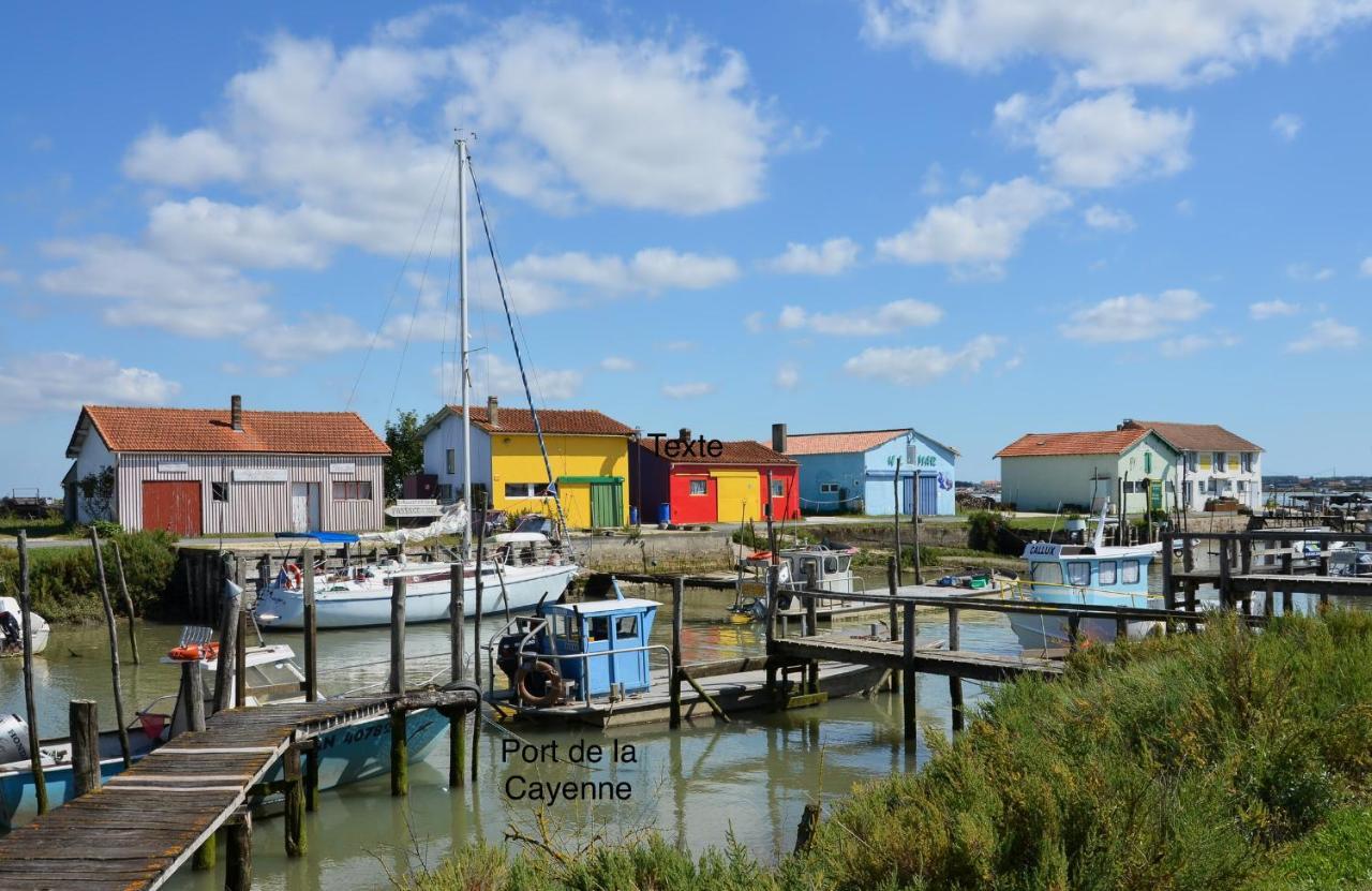 Entre Plage Et Marais Villa Bourcefranc ภายนอก รูปภาพ